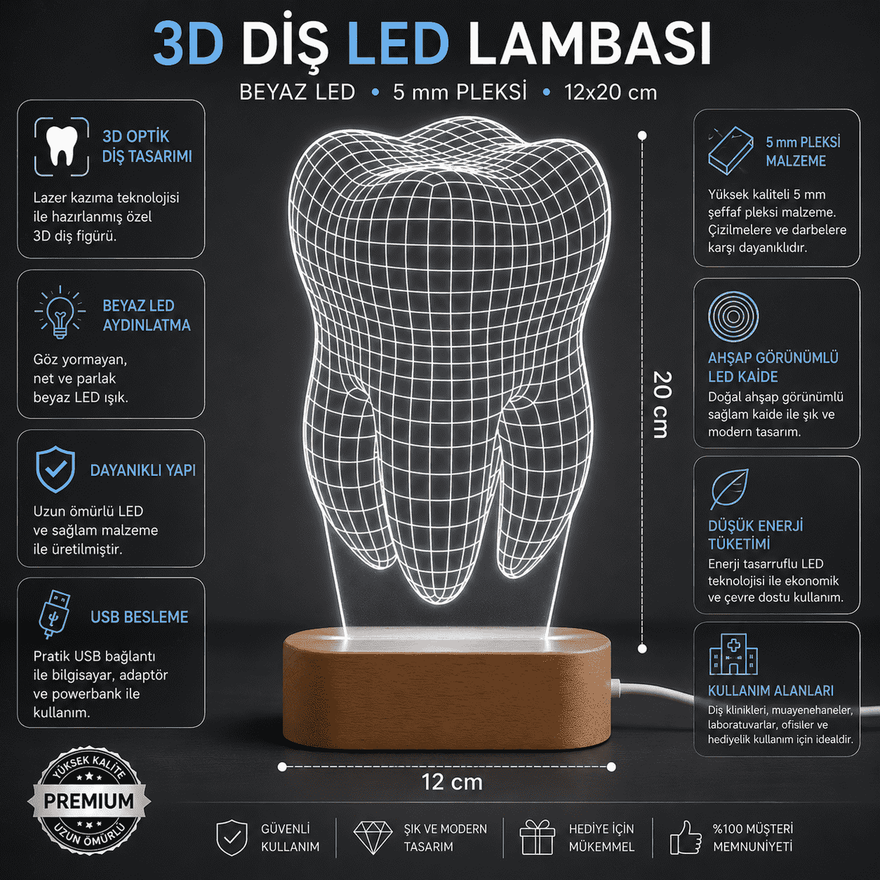 Diş Hekimi Ofisi İçin 3D Diş LED Gece Lambası 12x20 cm